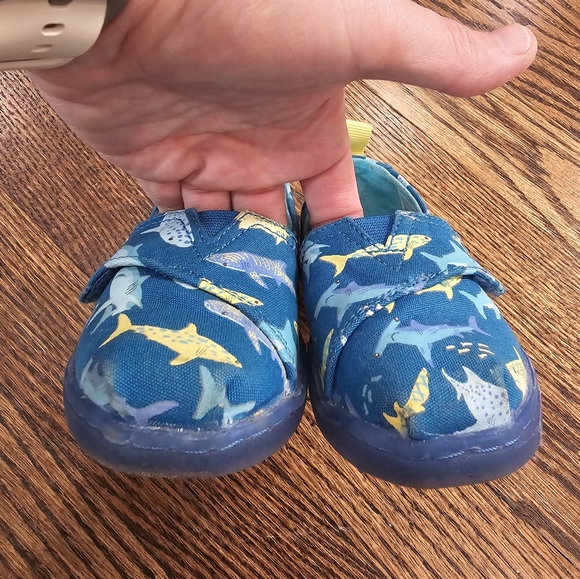 TOMS Tiny Alpargata Sharks - Picture 4 of 7
